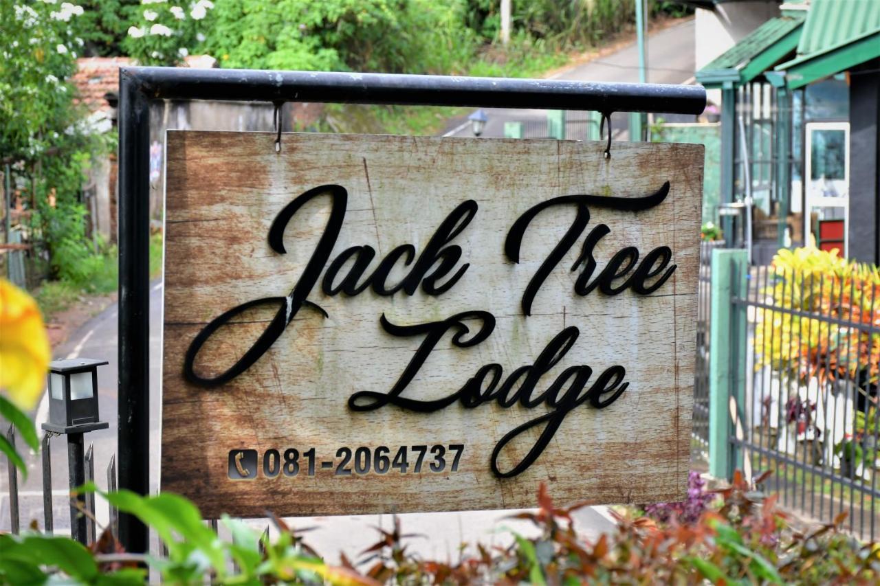 Jack Tree Lodge キャンディー エクステリア 写真