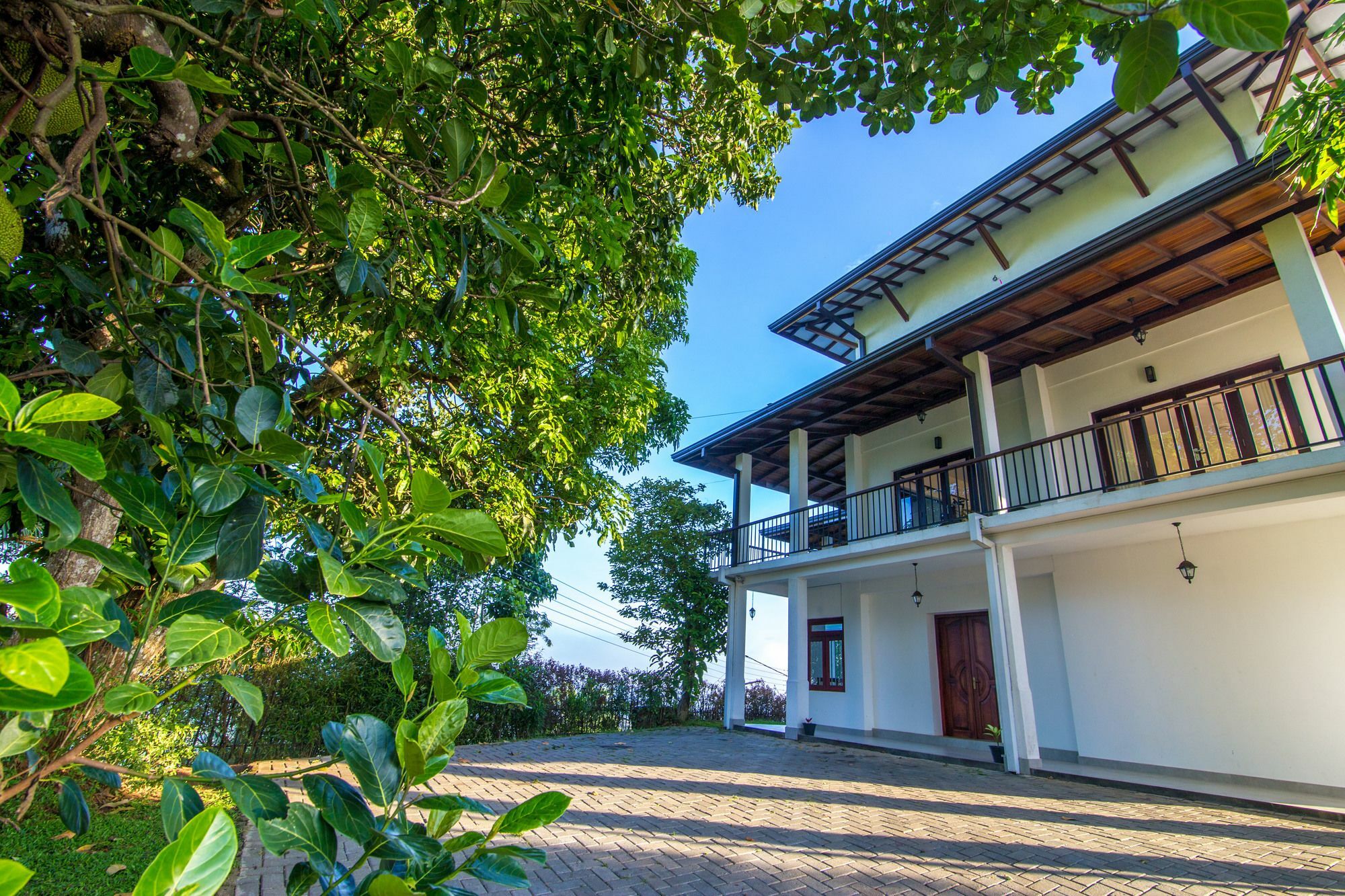 Jack Tree Lodge キャンディー エクステリア 写真